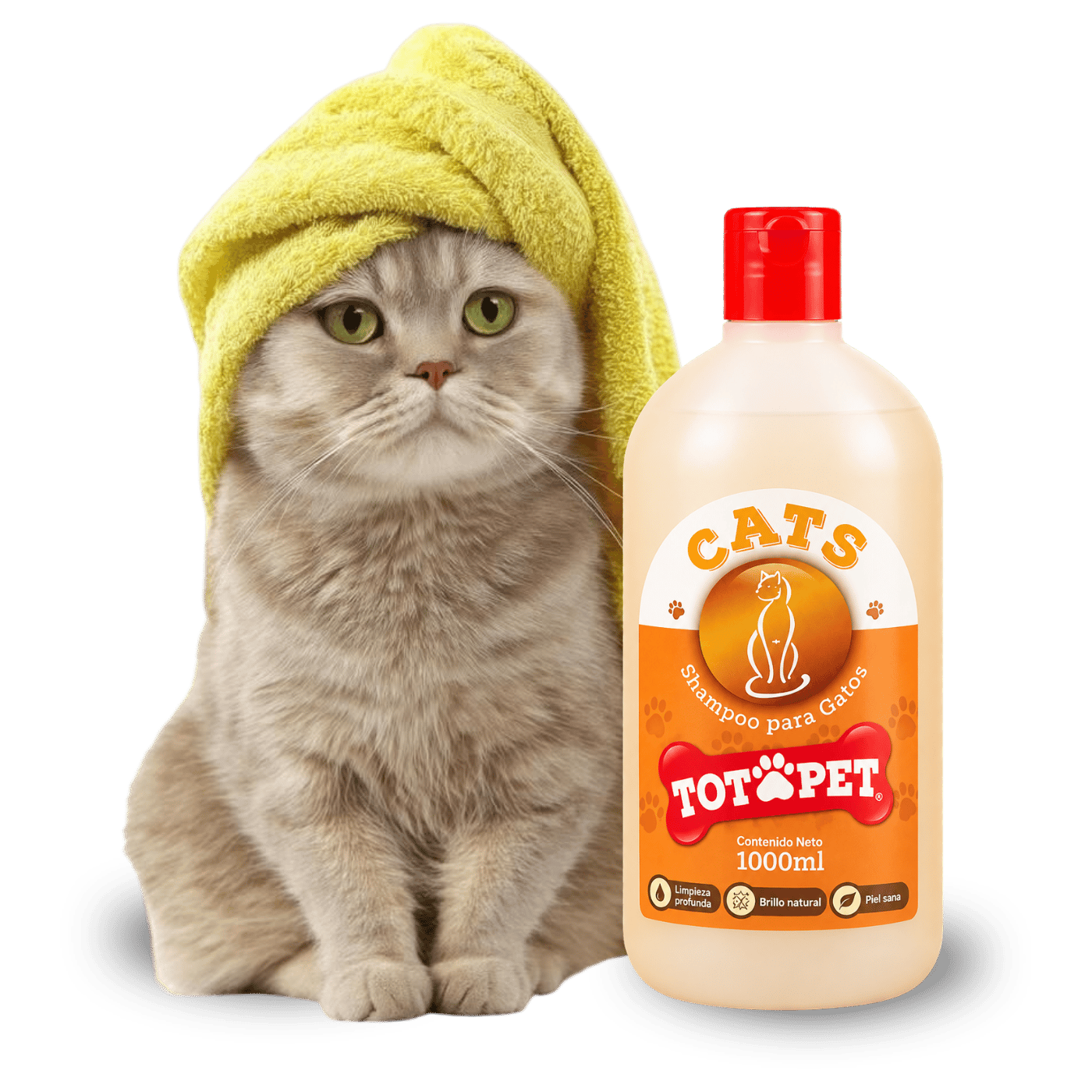 Baño de gato con Shampoo Cats Totópet